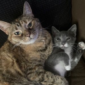 Meet your Posher, Benjamin